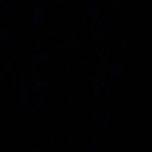 Meet your Posher, Lessly